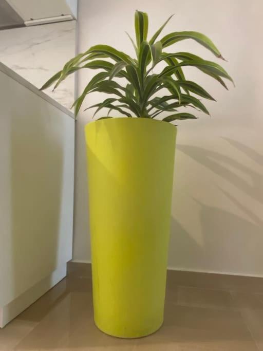 Caesar Apartment バーリ エクステリア 写真